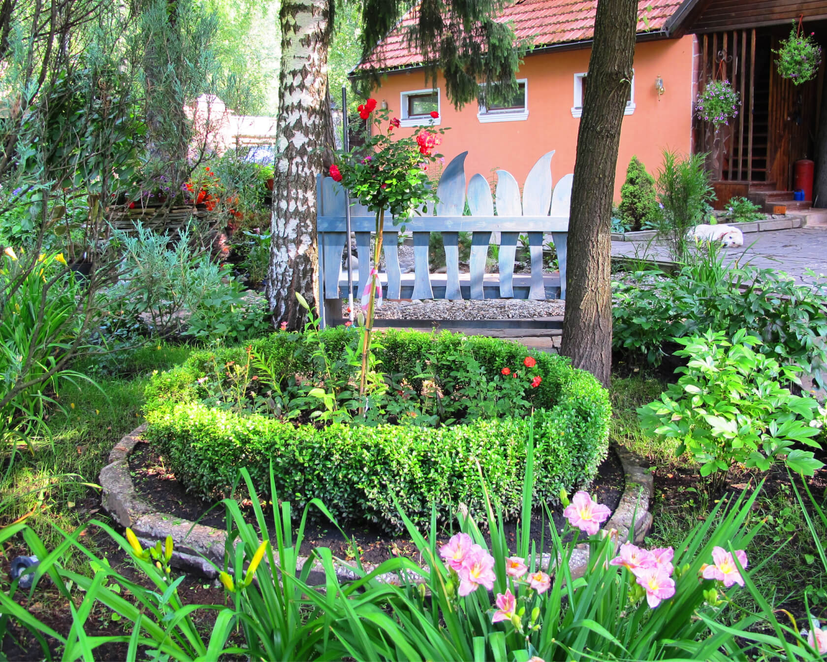 Проект Баковка