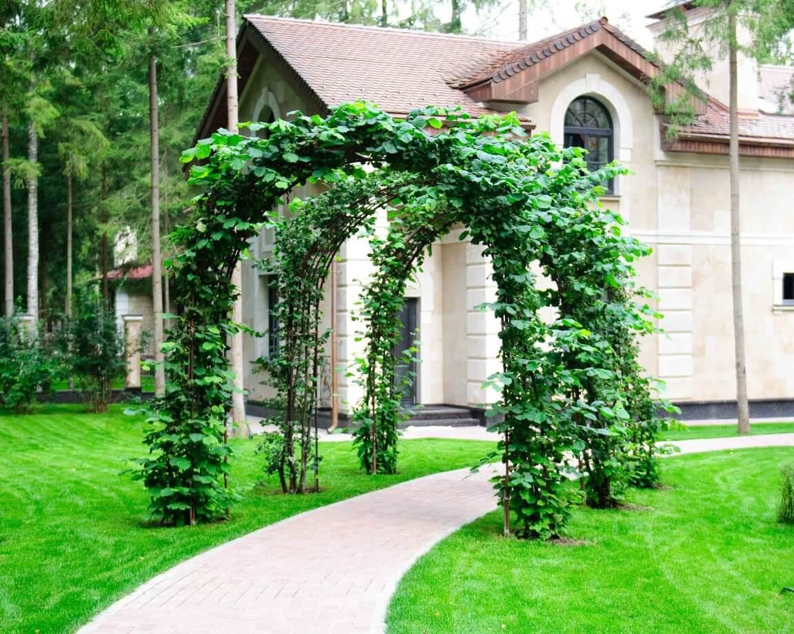 Проект Шервуд